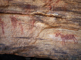 
Des peintures rupestres d'Afrique Australe. Namibie. Il y a d'autres figures, de lecture moins a...