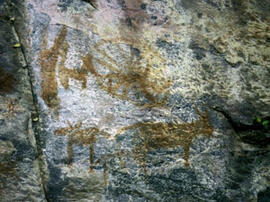 
Des peintures rupestres d'Afrique Australe. Botswana. Une grande partie des figures de Tsodillo ...