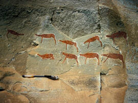 
Des peintures rupestres d'Afrique australe. Afrique du Sud. La qualité des peintures est très so...