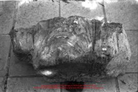 Film n°355. Matériel de Khirbat adh-Dharih, exposition dans un musée à Yarmouk, juin 2002. Film r...