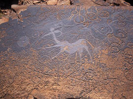
Des peintures rupestres d'Afrique Australe. Namibie. Figure fantastique représentant un quadrupè...