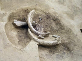 
Gontsy (Ukraine), un site à cabanes en os de mammouths du paléolithique supérieur récents. La pe...