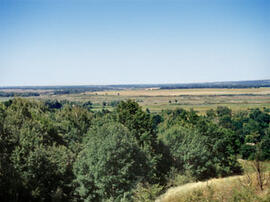 
Gontsy (Ukraine), un site à cabanes en os de mammouths du paléolithique supérieur récents. Vue d...