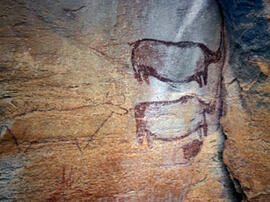 
Des peintures rupestres d'Afrique Australe. Botswana. Dans d'autres cas, leur état de conservati...