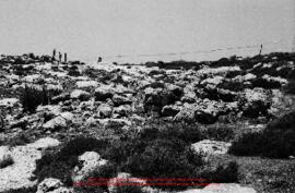 Film n°53. Prospection d'Iraq al-Amir, juin 1984