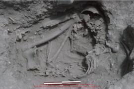 Khirokitia, sépulture 558