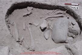 Khirokitia, sépulture 664