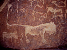 
Des peintures rupestres d'Afrique Australe. Namibie. Toutefois, les animaux gravés ne sont pas n...