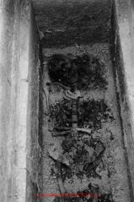 Film n°71. Khirbat adh-Dharih, campagne 1, cimetière, tombeau 1, décembre 1984