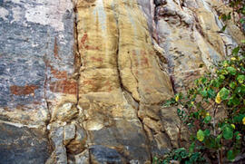 
Des peintures rupestres d'Afrique Australe. Botswana. La position de certaines figures a conduit...